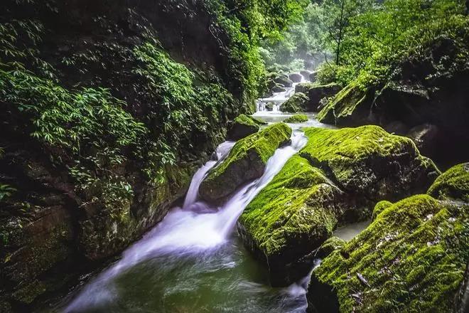 逃出奶油苹果屋