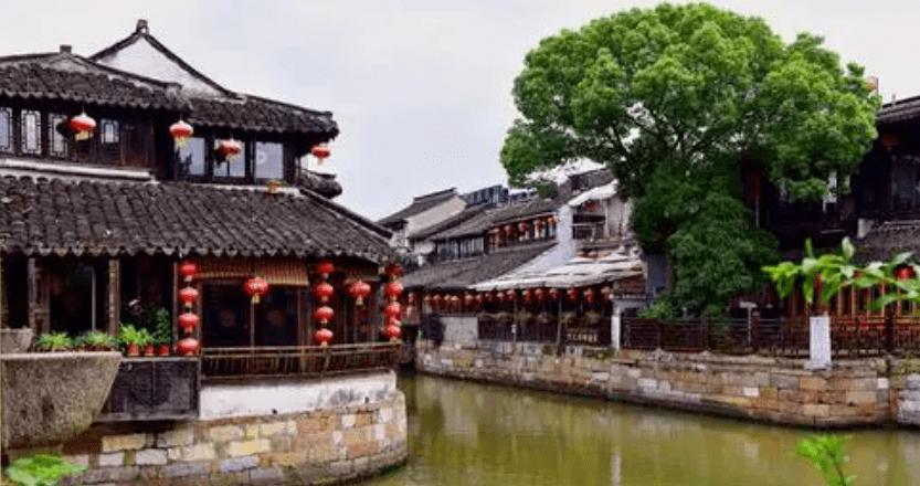 迷失在荒野